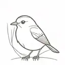 outline robin bird tattoo design idea