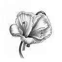 2 snowdrops and a poppy tattoo design idea