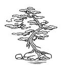bonsai tree tattoo design idea