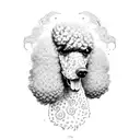 Angry poodle tattoo design idea