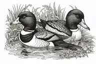 common Goldeneye drake and hen tattoo design idea