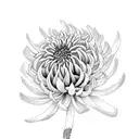 chrysanthemum tattoo design idea