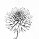 chrysanthemum tattoo design idea