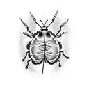 cockroach  tattoo design idea