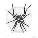 spider with cobweb  tattoo design idea