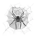 spider with cobweb  tattoo design idea