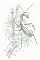 Praying mantis in a marijuana field  tattoo design idea