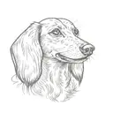 Dachshund smiling tattoo design idea