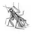 Praying Mantis, Orchid, Music tattoo design idea