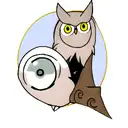 owl with full moons for eyes tattoo design idea