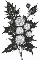 Thistle   tattoo design idea