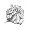 calathea plant hand tattoo design idea