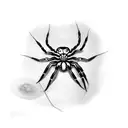 Spider tattoo design idea
