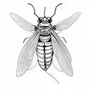 firefly insect with a heart embedded in the body little lines to show the light eminating from body tattoo design idea