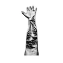 ferns and leaves tattoo design idea