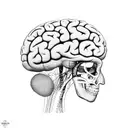 brain cancer memorial for dad tattoo design idea