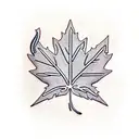 Maple Leaf tattoo design idea