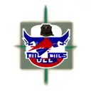 Buffalo Bills tattoo design idea