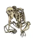 praying skeleton  tattoo design idea