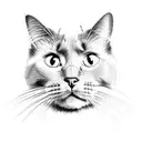 Combine a cat silhouette with a microphone (symbolizing John Mayer) in a sketch style tattoo tattoo design idea