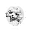 two toy poodle tattoo design idea