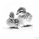 two baby quail with her mom. tattoo design idea