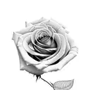 Roses with roman numerals tattoo design idea