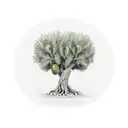 olive tree in hexagonal frame tattoo design idea