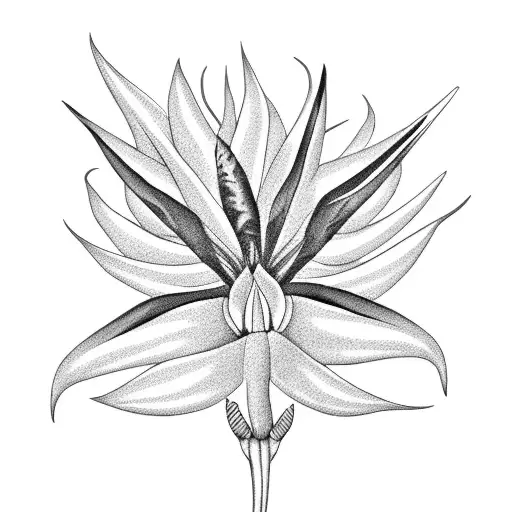 Bird of Paradise tattoo design idea