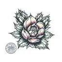 prickly pear cactus  tattoo design idea