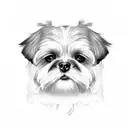 shih tzu tattoo design idea