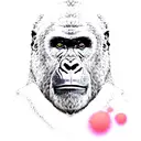 Silverback gorilla with Ubuntu symbols integrated in its fur tattoo design idea