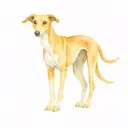 WHippet tattoo design idea