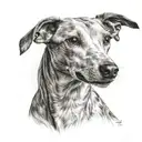 WHippet tattoo design idea