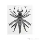 Mantis tattoo design idea