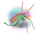 Mantis tattoo design idea