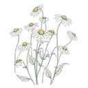 chamomile grows from human bone tattoo design idea
