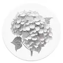 hydrangea flower with suzanne written in it somewhere.  tattoo design idea