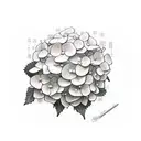 hydrangea flower with suzanne written in it somewhere.  tattoo design idea