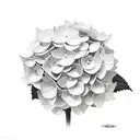 hydrangea flower with suzanne written in it somewhere.  tattoo design idea