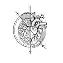 a human heart tattoo design idea