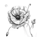 A collage of flowers including poppy’s, honeysuckle, rose, sweet peas, morning glory, moon flowers, cosmos, snow drop an tattoo design idea