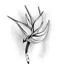 Bird of Paradise tattoo design idea