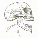 skull jaw open tattoo design idea