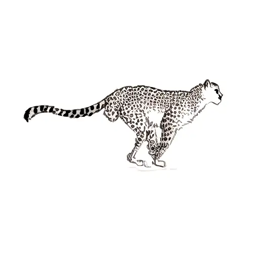 a cheetah tattoo design idea