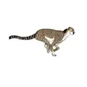 a cheetah tattoo design idea