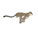 a cheetah tattoo design idea