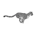 leopard tattoo design idea