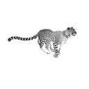 leopard tattoo design idea