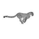 leopard tattoo design idea